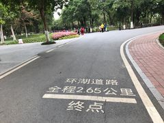 -海珠湖公园