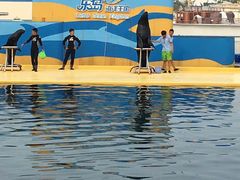 -秦皇岛乐岛海洋王国