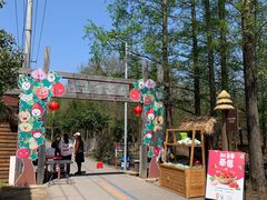 -上海长兴岛郊野公园