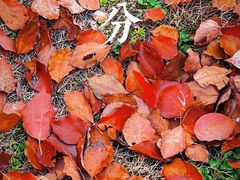 -美兰湖景区