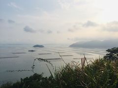 -北岐滩涂