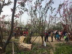 -上海浦江郊野公园-2号停车场