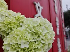 -大龙山(地铁站)