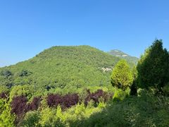 -四门塔风景区