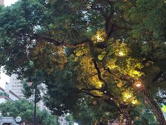 -上海昆虫博物馆