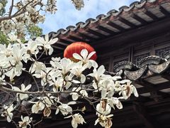 -上海醉白池公园