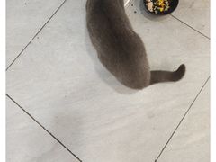 -中医药大学-第2食堂