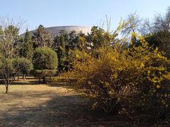 -东北大学(南湖校区)
