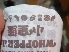 -汉堡王(海昌海洋公园店)