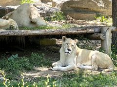 -北京野生动物园