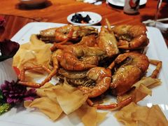 -顺德了能馆(虎门店)