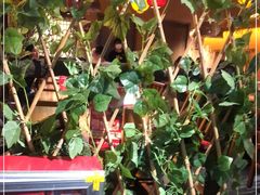 门面-老湘村·湖南土菜(天河维多利店)