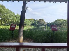 -金银湖国家城市湿地公园