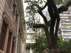 -香港大学