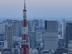 -六本木新城展望台(东京城市景观)