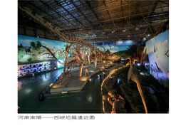 -中国西峡恐龙遗迹园