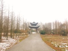 景点-梁鸿国家湿地公园