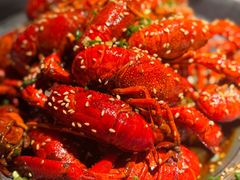 -肥肥虾庄·金牌油焖大虾(沙湖店)