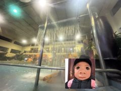 -韶关经律论国际酒店温泉