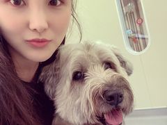 -佩兹宠物医院肿瘤专科·眼科·牙科(黄浦店)