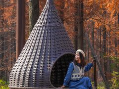 -黄海国家森林公园