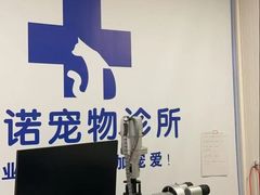 -守诺宠物医院·眼科· 特色牙科·异宠专科(虹口店)