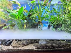 -太平洋海底世界