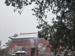 -中岳庙