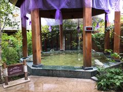 -汉拿山温泉度假酒店