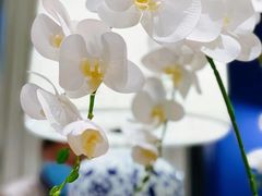 -翠湖轩中餐厅(昆明翠湖宾馆店)