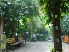 android_upload_pic-旅马餐厅(茅家埠店)