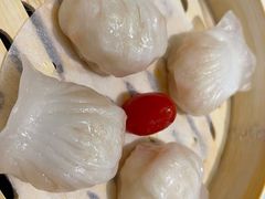 水晶虾饺-茶港·点心·啫啫煲(范湖万达广场店)