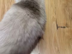 -剧狐剧本杀·月球探案馆(人民广场1号店)