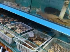 水产区-东海章鱼馆(恒瑞街店)
