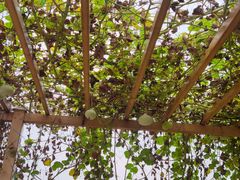 -中国天府农业博览园