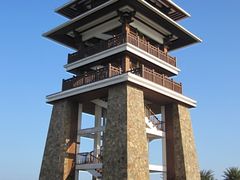 -大湾区中央湿地公园