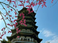 -洋湖国家湿地公园
