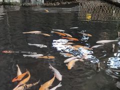 -世外桃源农庄·德清土菜(兴康南路店)