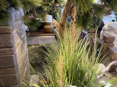 -绿茶餐厅(同成街华联店)