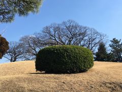 -水前寺成趣园