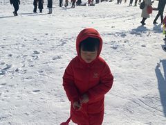-绿野森林乐园冰雪季