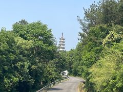 -苏州上方山国家森林公园