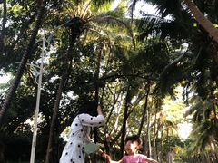 -三亚亚龙湾雅高美爵酒店