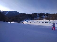 -亚布力新体委滑雪场