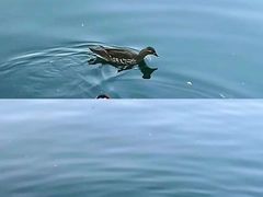 -什刹海