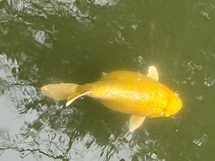 -黔灵山公园