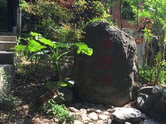 -清源山风景区