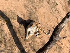 -西霞口神雕山野生动物世界