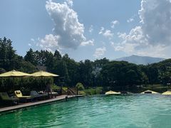 -四季酒店下午茶