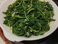 -松涛居·三墩烧鹅石岐乳鸽(西区店)